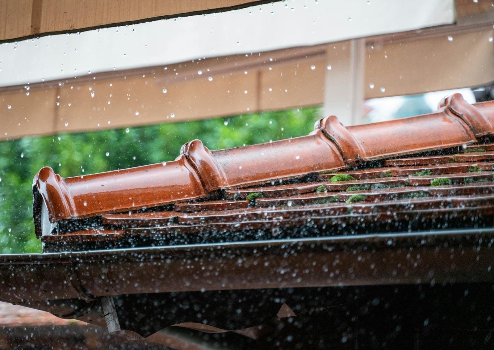 The job description in 8 seconds — During a Florida storm
