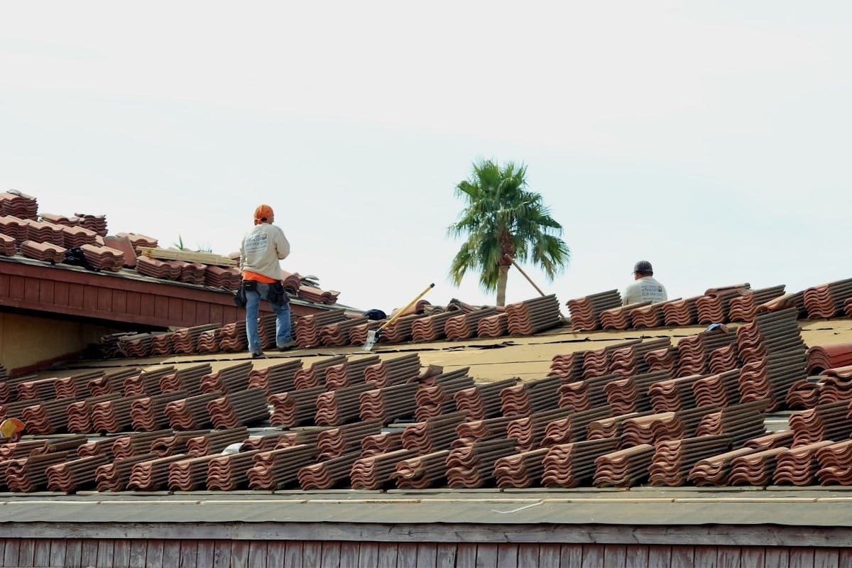 Roofer replacing damaged plywood roof decking